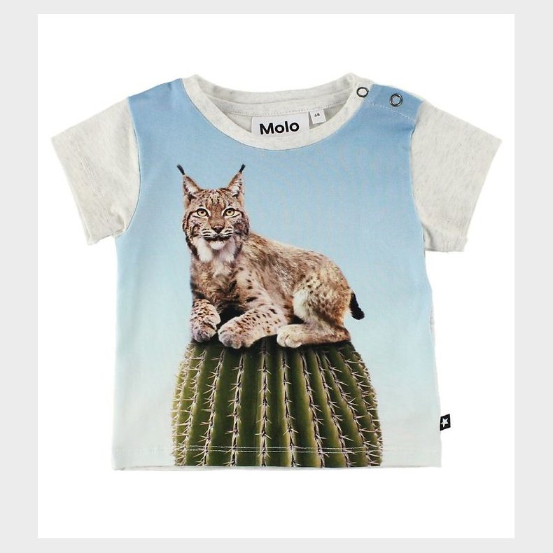 Molo T-Shirt - Eddie - Cactus Cat