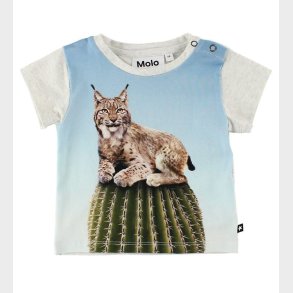 Molo T-Shirt - Eddie - Cactus Cat