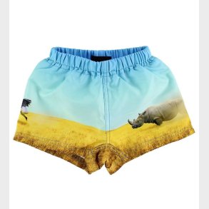 Molo Badeshorts - UV50+ - Newton - Rhino