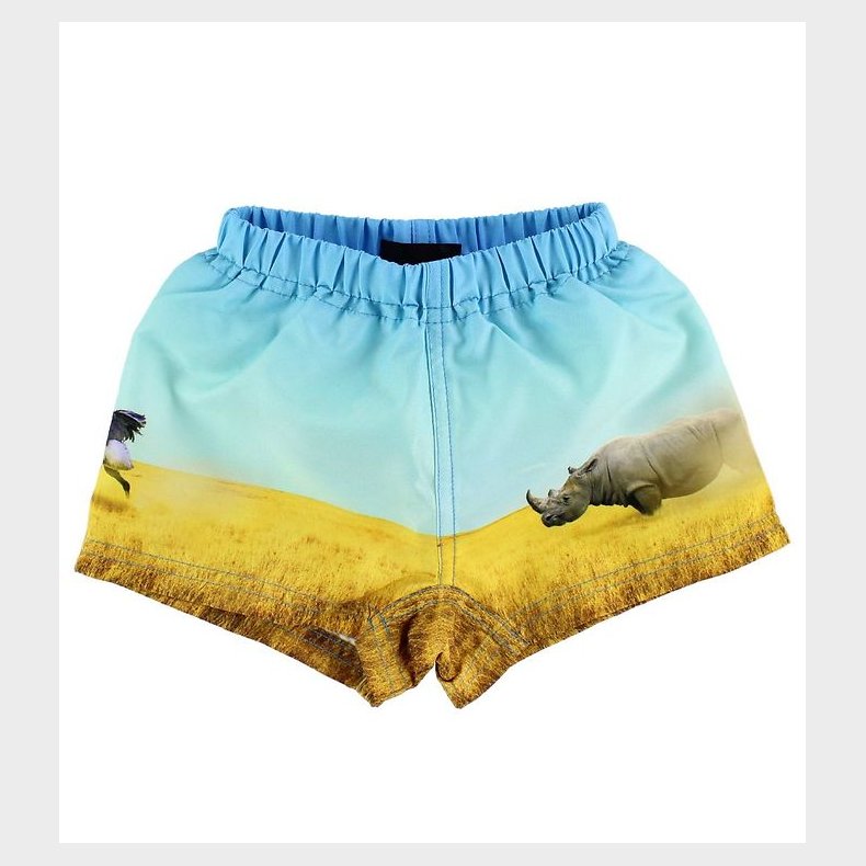 Molo Badeshorts - UV50+ - Newton - Rhino