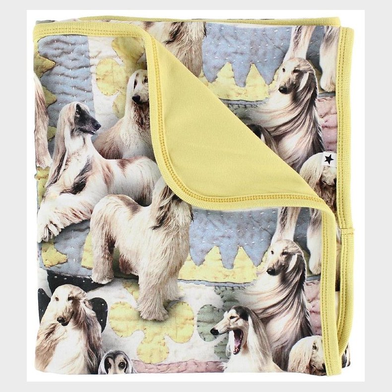 Molo T�ppe - 80x75 - Neala - Dogtastic