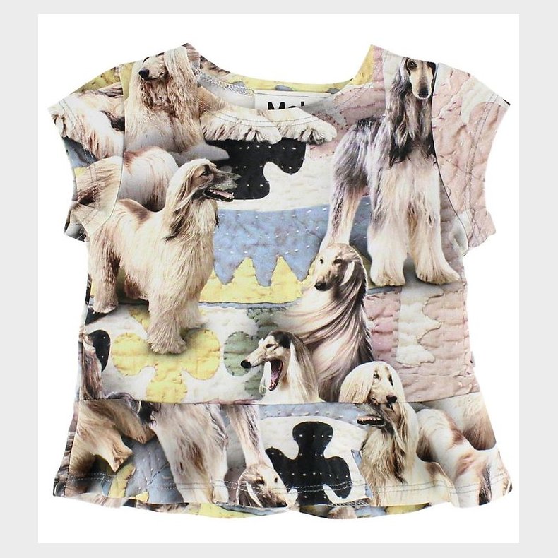 Molo T-shirt - Ebba - Dogtastic