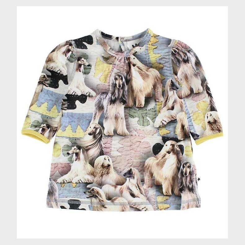 Molo Kjole - Caroline - Dogtastic