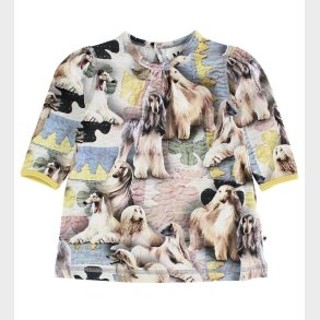 Molo Kjole - Caroline - Dogtastic