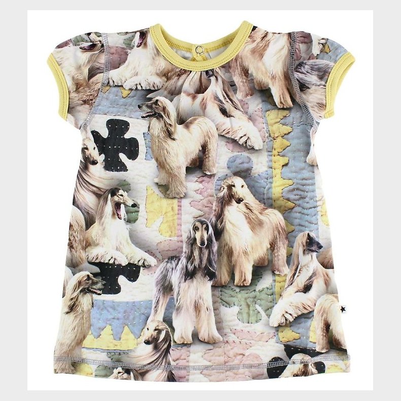 Molo Kjole - Cathleen - Dogtastic