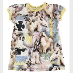 Molo Kjole - Cathleen - Dogtastic