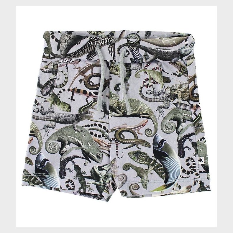 Molo Shorts - Simroy - Entangled