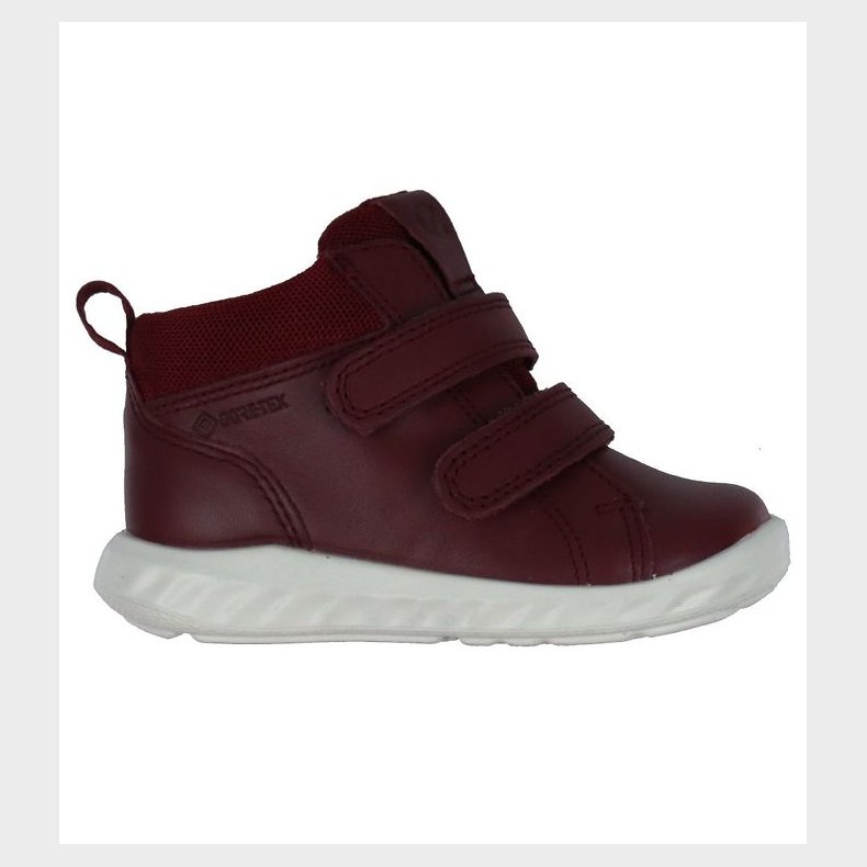 Ecco Stvler - Sp 1 Lite Infant - Tex - Morillo