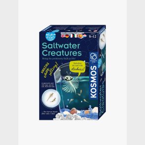 Kosmos Fun Science Eksperimentkasse Saltwater Creature