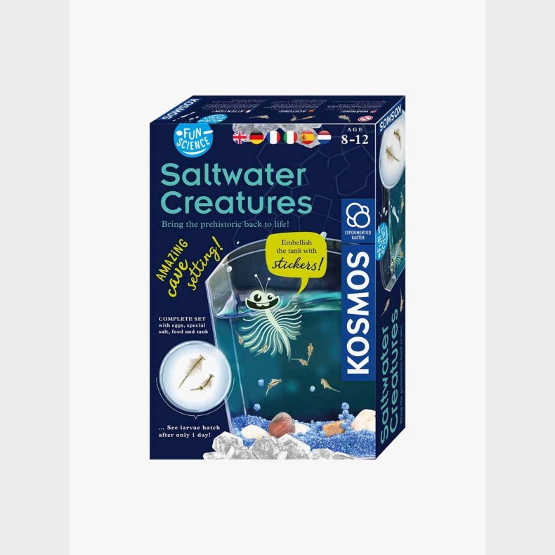 Kosmos Fun Science Eksperimentkasse Saltwater Creature