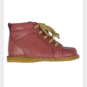 Angulus stvler - Rosa