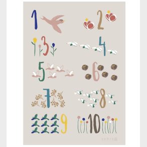 Sebra Plakat - Singing Birds