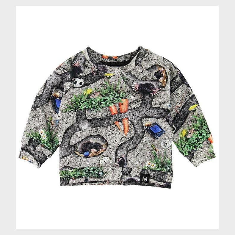 Molo Sweatshirt - Dag - Moles