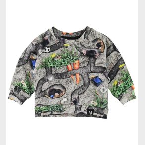 Molo Sweatshirt - Dag - Moles