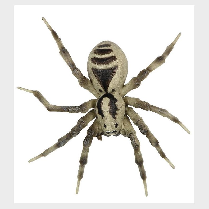 Papo Tarantula - �: 11,5 cm