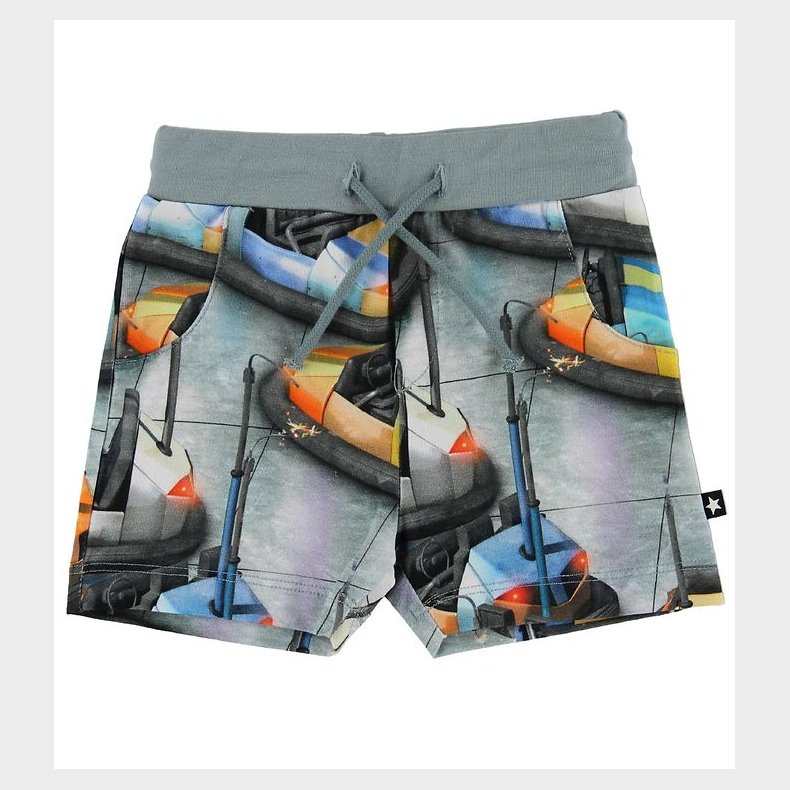 Molo Shorts - Simroy - Bumper Car