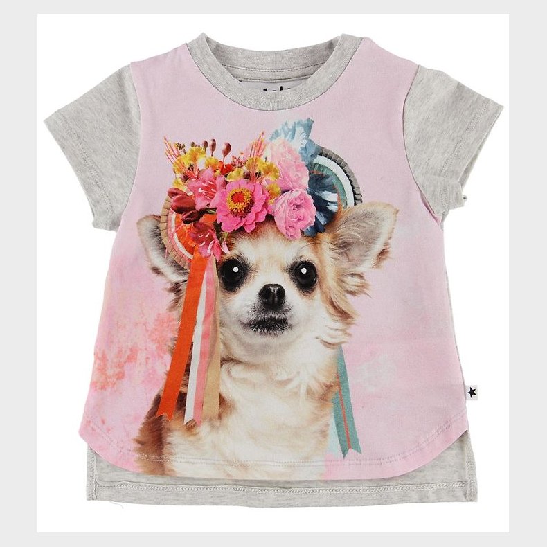 Molo T-shirt - Erin - Chihuahua
