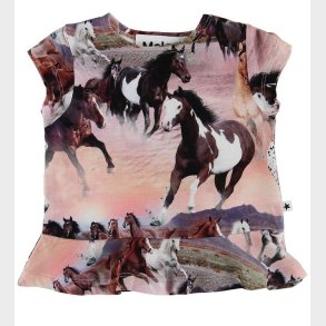 Molo T-shirt - Ebba - Wild Horses