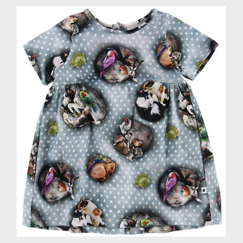 Molo Kjole - Calypso - Pets'n Dots