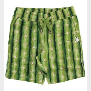 Molo Sweatshorts - Arnt - Cactus
