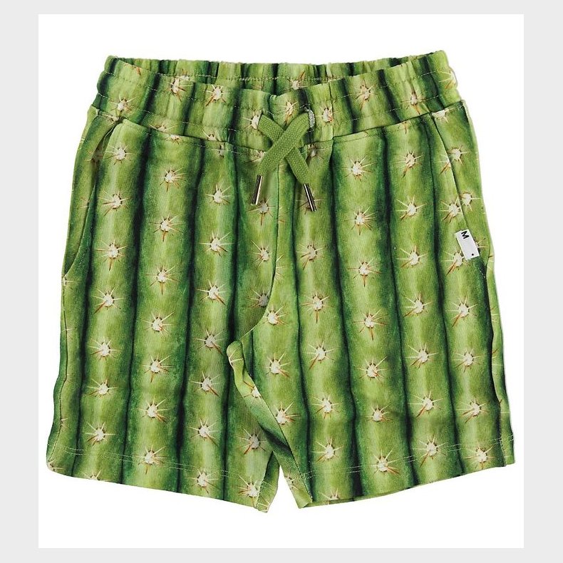 Molo Sweatshorts - Arnt - Cactus