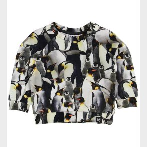 Molo Sweatshirt - Dag - Penguins Galore