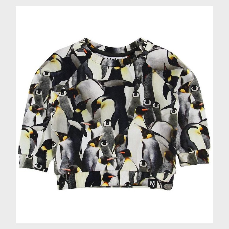 Molo Sweatshirt - Dag - Penguins Galore