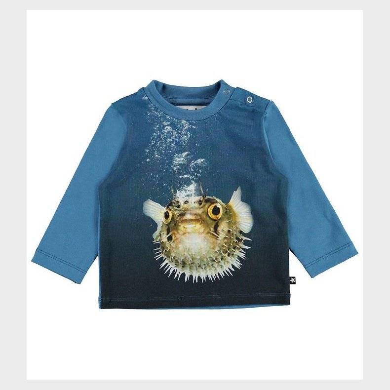 Molo Bluse - Enovan - Pufferfish