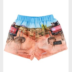 Molo Badeshorts - UV50+ - Newton - In The Bush