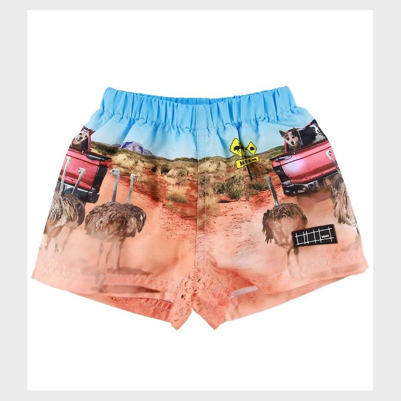 Molo Badeshorts - UV50+ - Newton - In The Bush