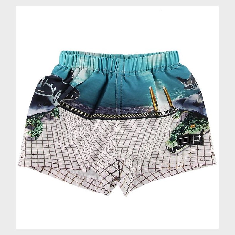 Molo Blebadebukser - UV50+ - Newton - Pool Slide