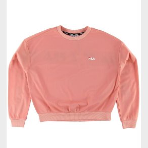 Fila Sweatshirt - Tallis - Lobster Bisque