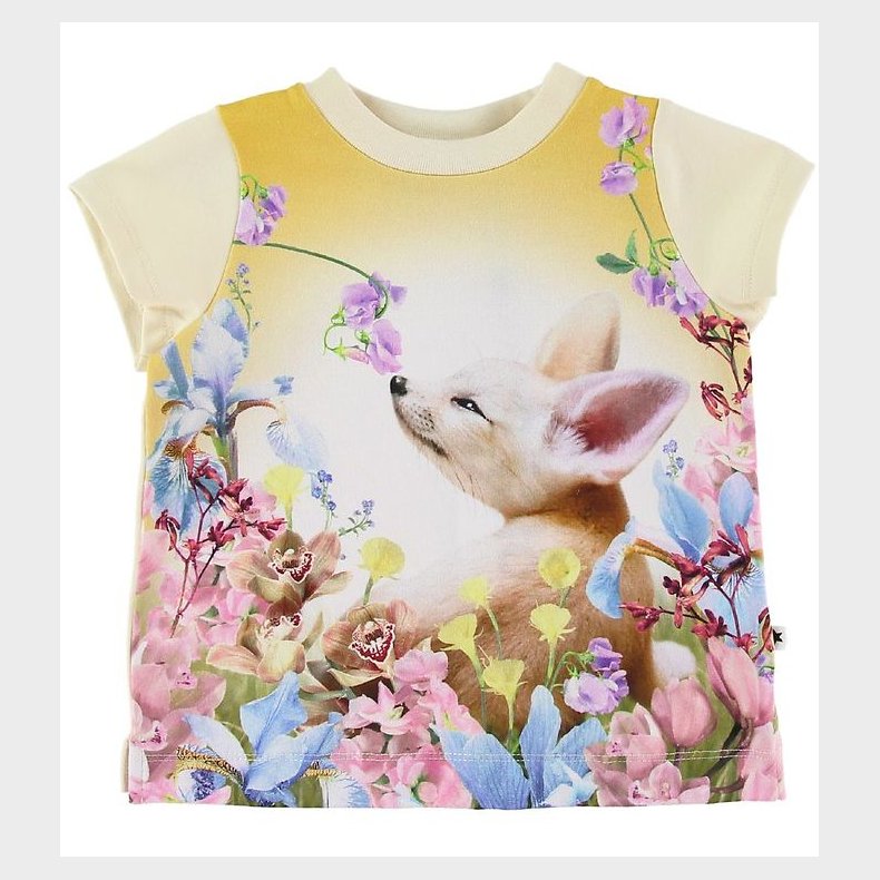 Molo T-shirt - Elly - Fennec Baby
