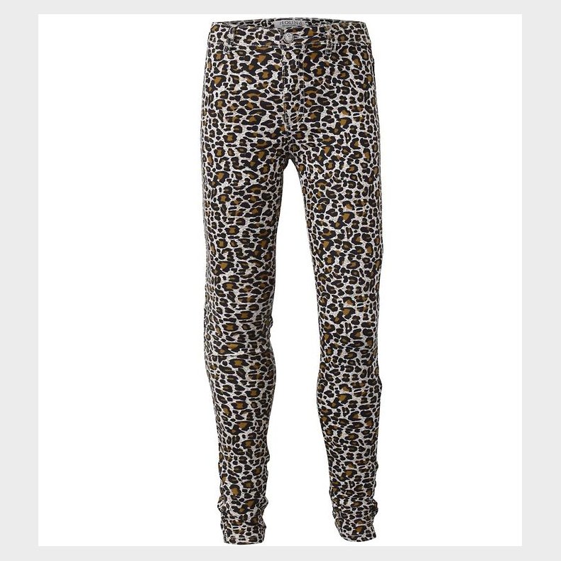 Hound Bukser - Wild - Leopard