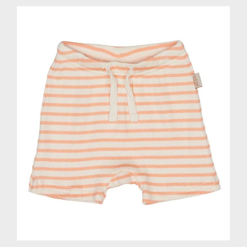 Petit Piao Shorts - Modal Striped - Peach Naught/Eggnog