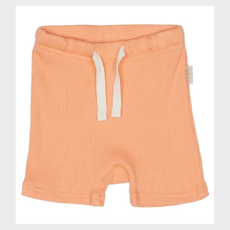 Petit Piao Shorts - Modal - Peach Naught