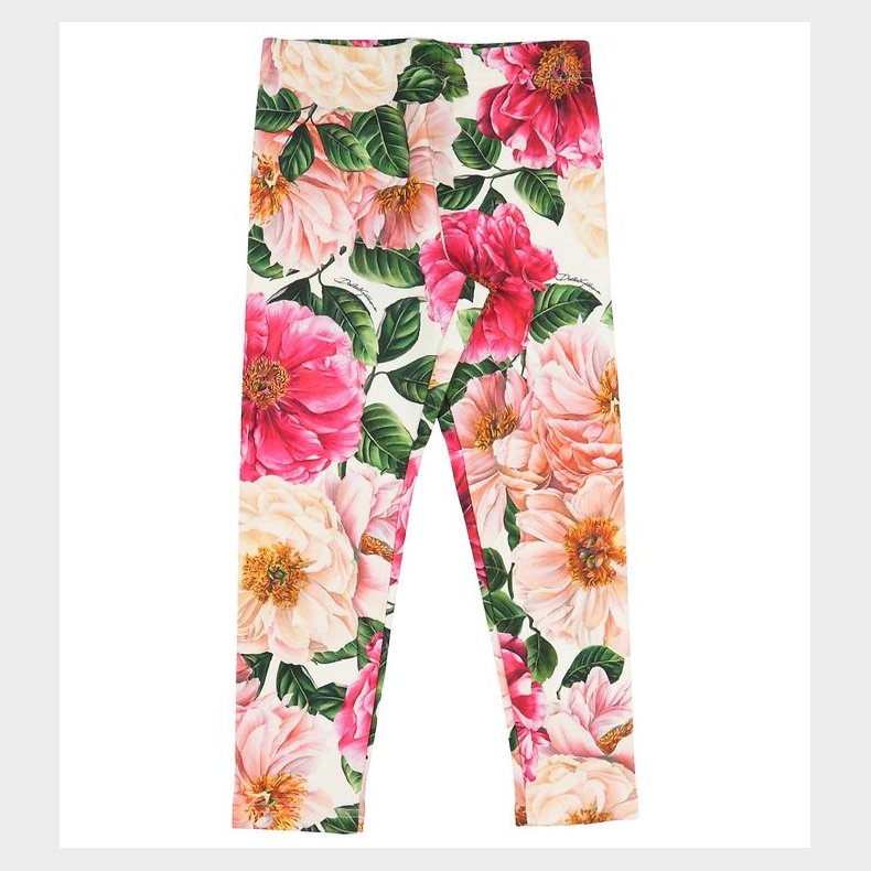 Dolce & Gabbana Leggings - Rosa Blomster