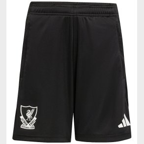 adidas Performance Shorts - LFC EU - Black