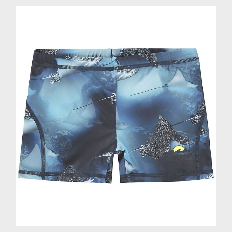 Molo Badebukser - UV50+ - Norton - Into The Blue