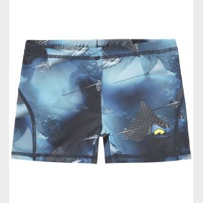 Molo Badebukser - UV50+ - Norton - Into The Blue