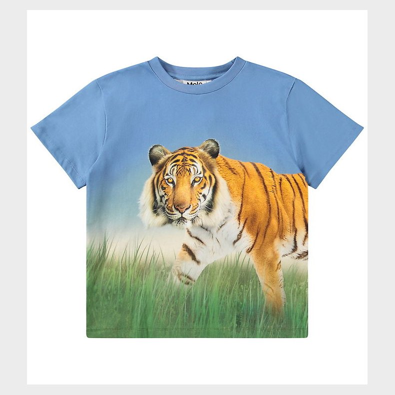 Molo T-shirt - Rubin - Tiger On Blue