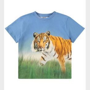 Molo T-shirt - Rubin - Tiger On Blue