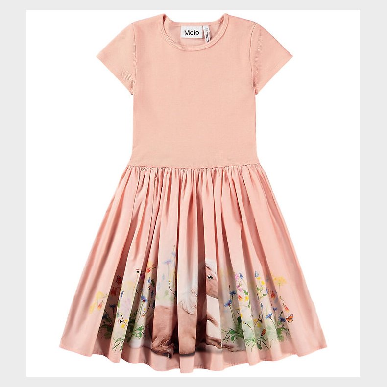 Molo Kjole - Cissa - Photobooth