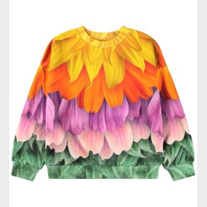 Molo Sweatshirt - Maxi - Multi Petals