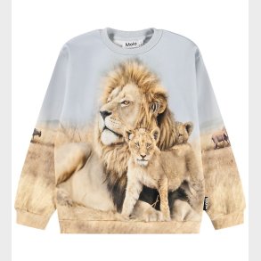 Molo Sweatshirt - Miksi - Leo Family
