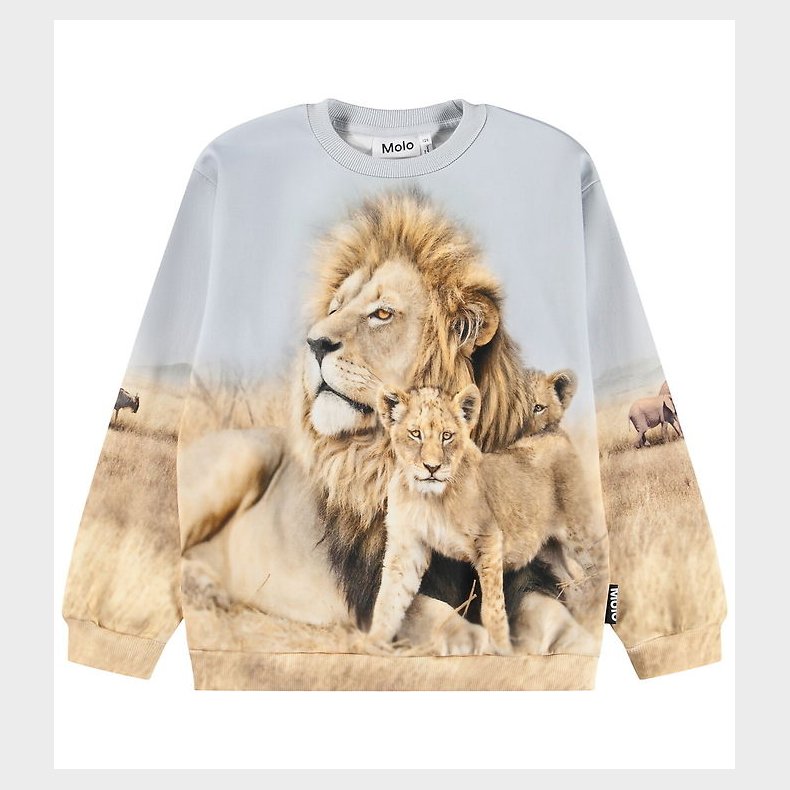 Molo Sweatshirt - Miksi - Leo Family