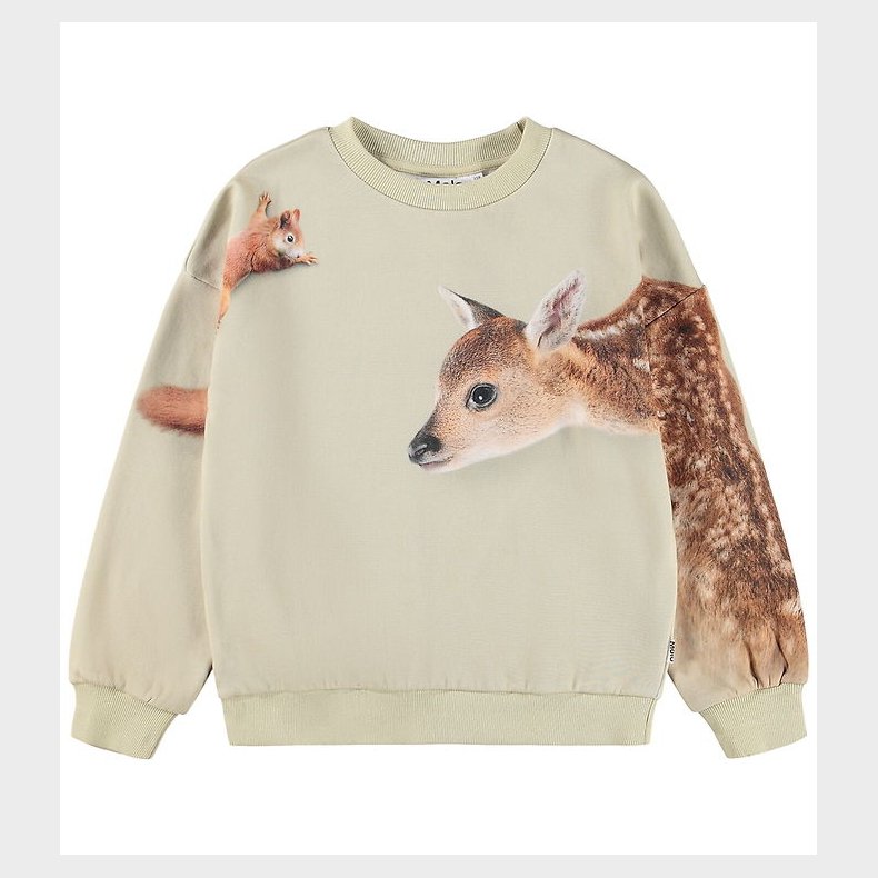 Molo Sweatshirt - Maxi - Forest Freinds
