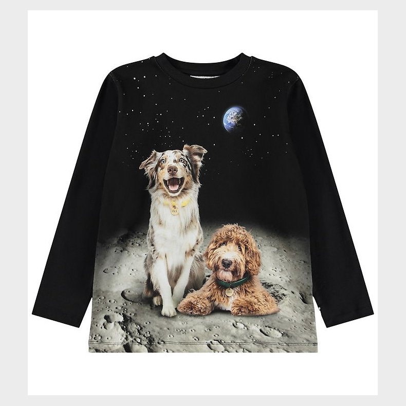 Molo Bluse - Reif - Moon Friends