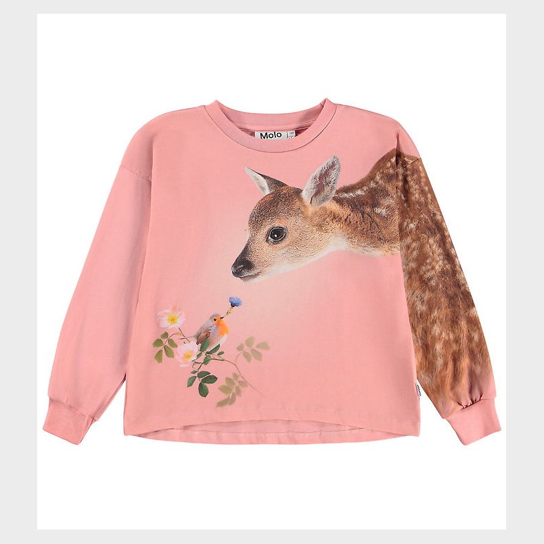 Molo Sweatshirt - Reniza - Flower Gift