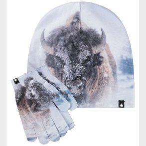 Molo Hue/Handsker - Kaya - Bison Close Up